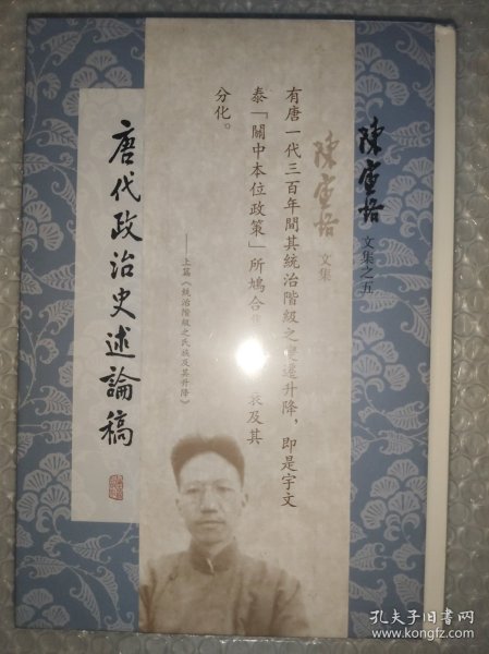 唐代政治史述论稿(陈寅恪文集)