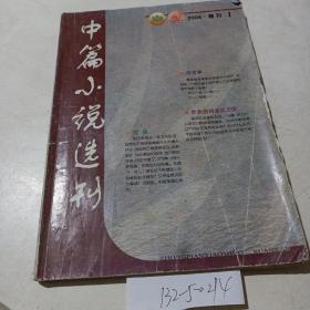 中篇小说选刊（2006增刊1）