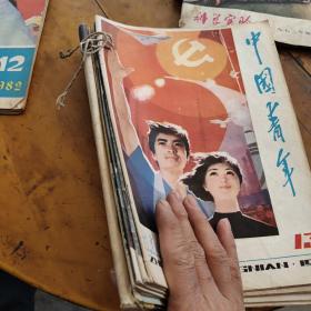 中国青年1981年13.14.15.16.20.21.22.23-24合刊（8本9期，私人合订本第23期总目录被撕掉四页