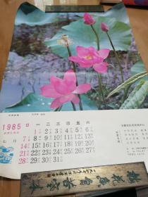 1985年7月历画荷塘清趣查若权