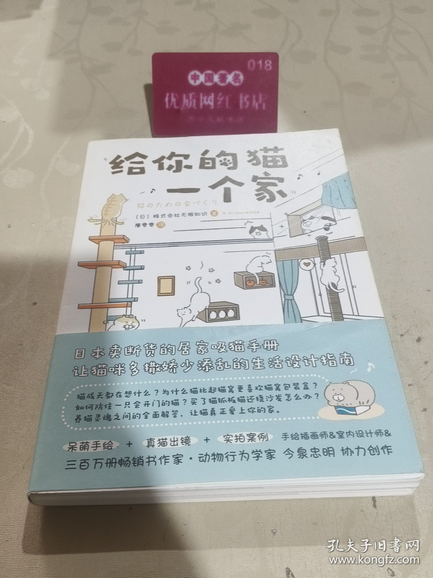 给你的猫一个家