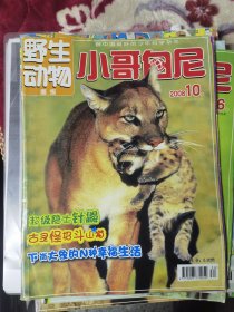 小哥白尼：野生动物画报2008-10