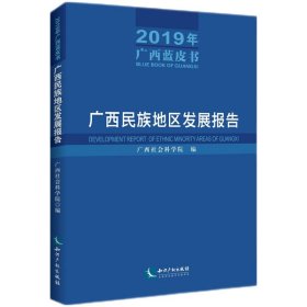 广西民族地区发展报告（2019年广西蓝皮书）——广西民族地区发展报告