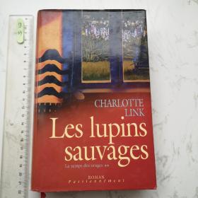 Les Lupins sauvages 法文法语法国