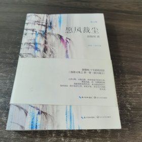 愿风裁尘