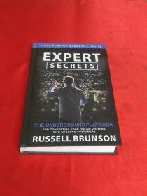 精装英文Expert Secrets：THE UNDERGROUND PLAYBOOK【专家隐情 地下剧本 将您的在线访问者转化为终身客户】