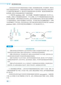 生物化学与分子生物学（创新教材/配增值）