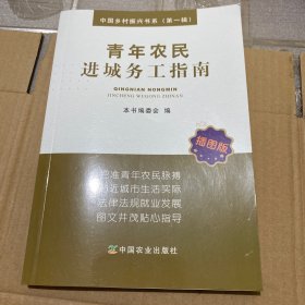 青年农民进城务工指南（插图版）/中国乡村振兴书系（第一辑）