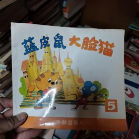 蓝皮鼠大脸猫5