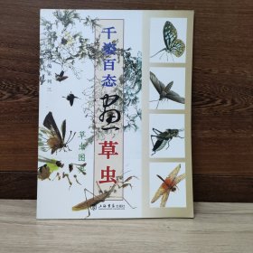 国画训练新编系列：千姿百态画草虫