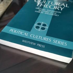 cultural  theory theories history of culture cultural studies 英文原版