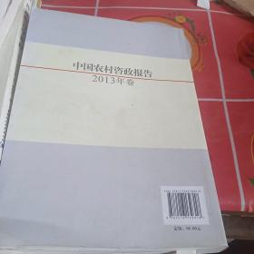 中国农村调查·咨政报告系列：中国农村咨政报告（2013年卷）