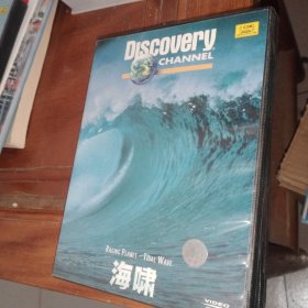 光盘DVD: 海啸 一张碟片盒装