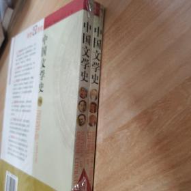 中国文学史:一部博物馆式的中国文学史上下