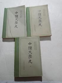 中国文学史（全三卷）