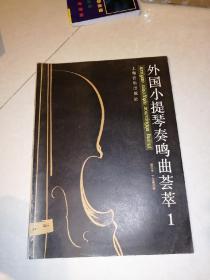 外国小提琴奏鸣曲荟萃1 （16开本，上海音乐出版社，96年一版一印刷） 内页干净。