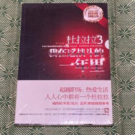 杜拉拉3：我在这战斗的一年里