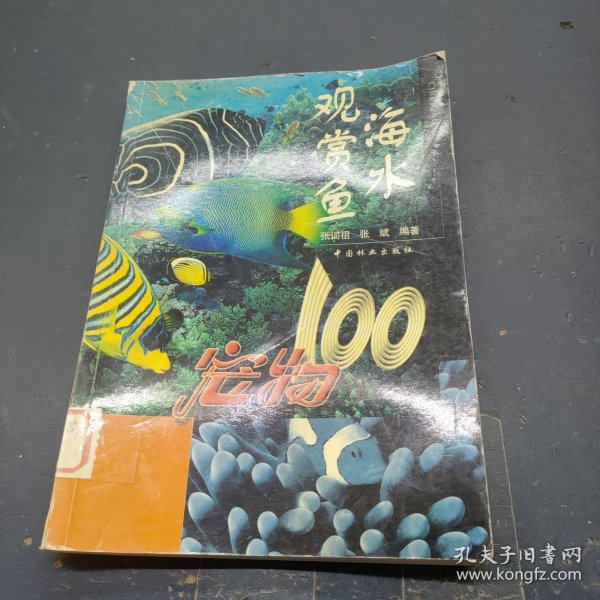 海水观赏鱼：宠物100