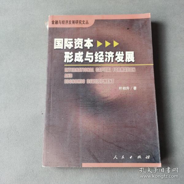 国际资本形成与经济发展——金融与经济发展研究文丛