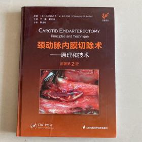 颈动脉内膜切除术：原理和技术（第2版）