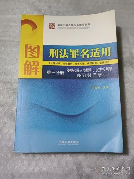 图解刑法罪名适用（第3分册）侵犯公民人身权利、民主权利罪、侵犯财产罪