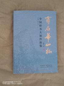 首届华山杯.全国榜书大展作品集（好作品云集）（主卧阳台）