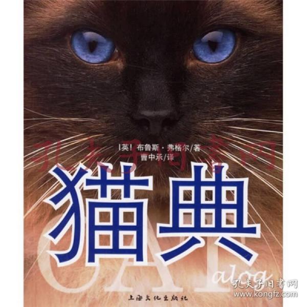 猫典