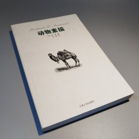 动物素描