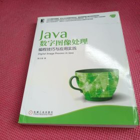Java数字图像处理：编程技巧与应用实践