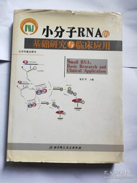 小分子RNA的基础研究与临床应用