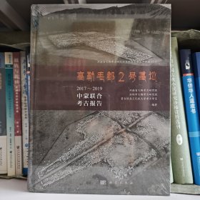 高勒毛都2号墓地：2017-2019中蒙联合考古报告