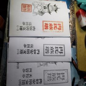 《冉氏族谱》冉值房、冉如房支系修改本共计3册（影印本）