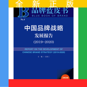 品牌藍(lán)皮書：中國品牌戰(zhàn)略發(fā)展報告（2019—2020）