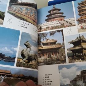 中国少年儿童百科全书：文化、艺术、人类、社会2册合售30元