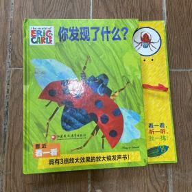 Pi kids 童书·你发现了什么？