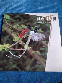 常州天空的猛禽。城市精灵
