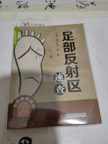 足部反射区速查