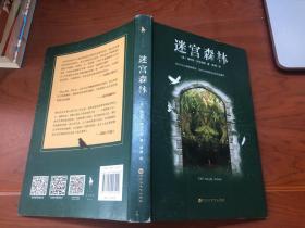 迷宫森林（跟《神奇动物在哪里》《爱丽丝梦游仙境》一样风靡欧美的奇幻力作！你以为自己隐藏得很好，但内心的恐惧会让你无处遁形。）