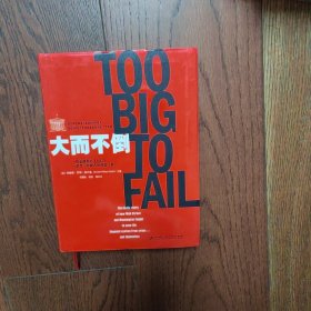 大而不倒：2010年全球政要和首席执行官争相阅读的金融危机启示录