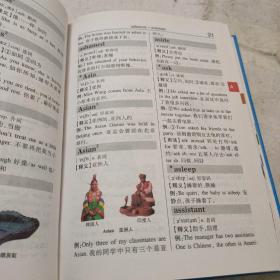 彩虹版·小学生英汉词典（彩图版）