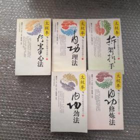 杨式太极拳术述真（5册全）