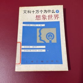 文科十万个为什么4想象世界