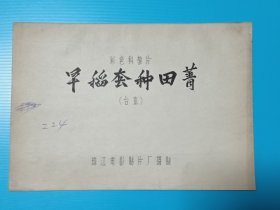 早稻套种田菁：电影台本完成台本