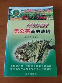 芹菜芫荽无公害高效栽培