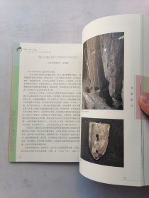 中国剑川海门口遗址一一全国最大的水滨“干栏式”建筑聚落遗址