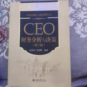 中国高级工商管理丛书：CEO财务分析与决策（第2版）