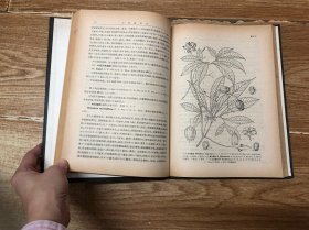 中国植物志（第七十三卷 第一分册）