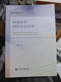 网络犯罪国际立法原理/网络空间国际法文库