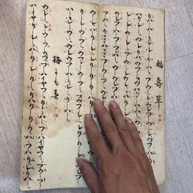 凤鸣录 日本古代手抄本乐谱 福寿草、梅、鹤之声、雨、黑发、越后狮子、袖之露、雪、松竹梅 等等