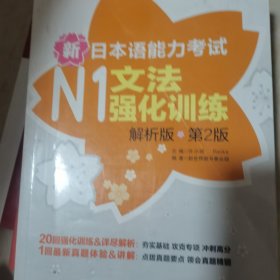 新日本语能力考试：N1文法强化训练（解析版）（第2版）